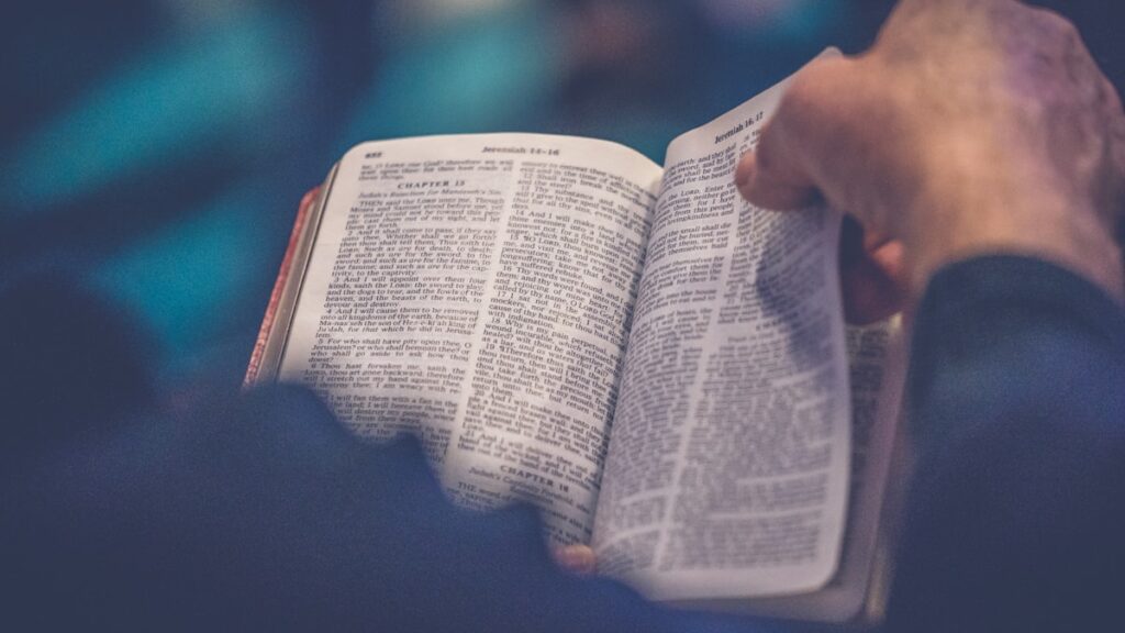 Discipleship / Bible Training